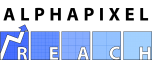 wildirismarketing.com logo