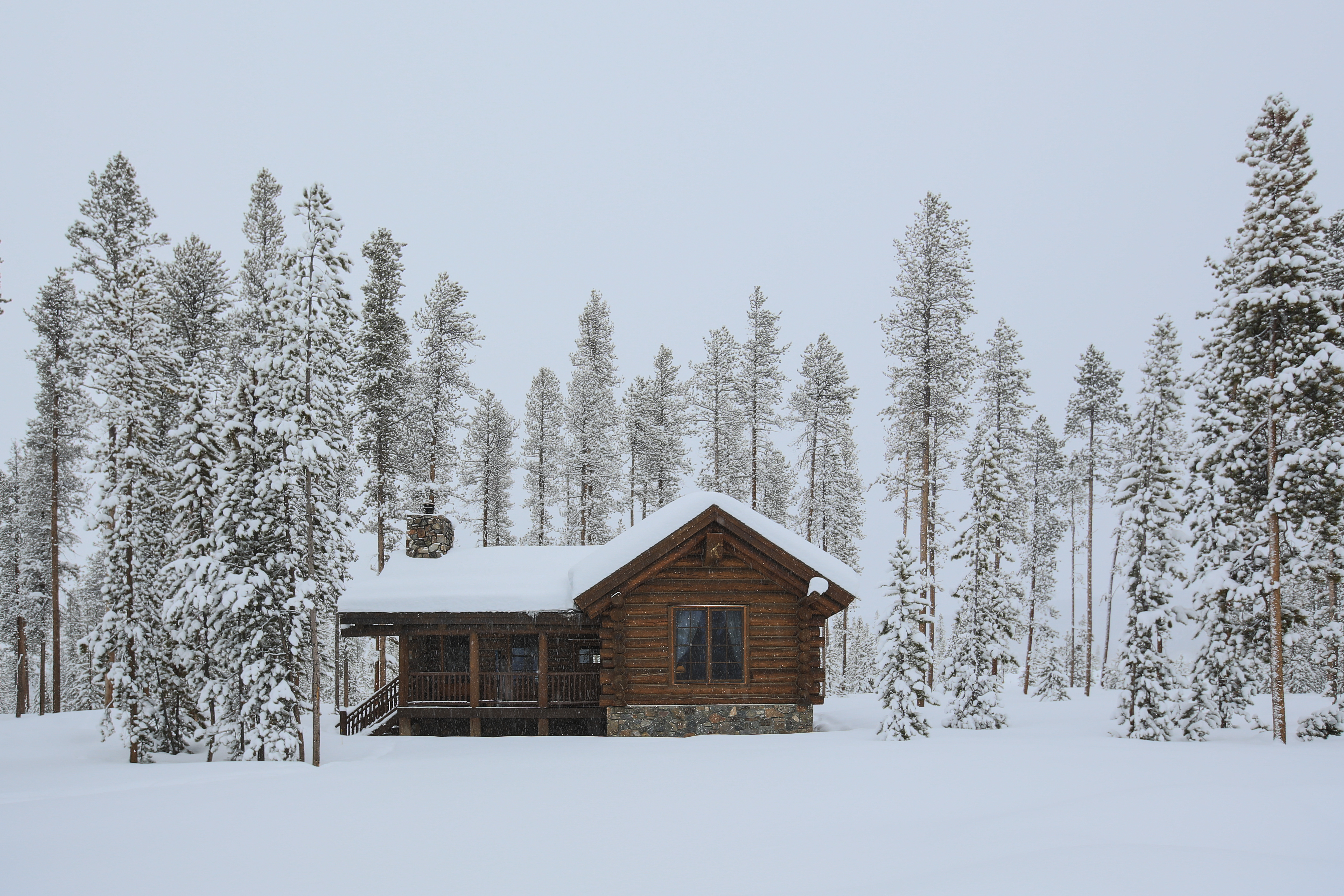 Log Cabin in the forest and covered snow