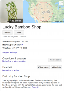 Google My Business - Lucky Bamboo