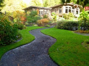 home with traditional landscaping 