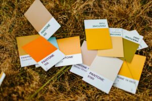 A collection of Pantone color cards are scattered on a patch of grass, signifying different colors a Call-To-Action (CTA) button can be.