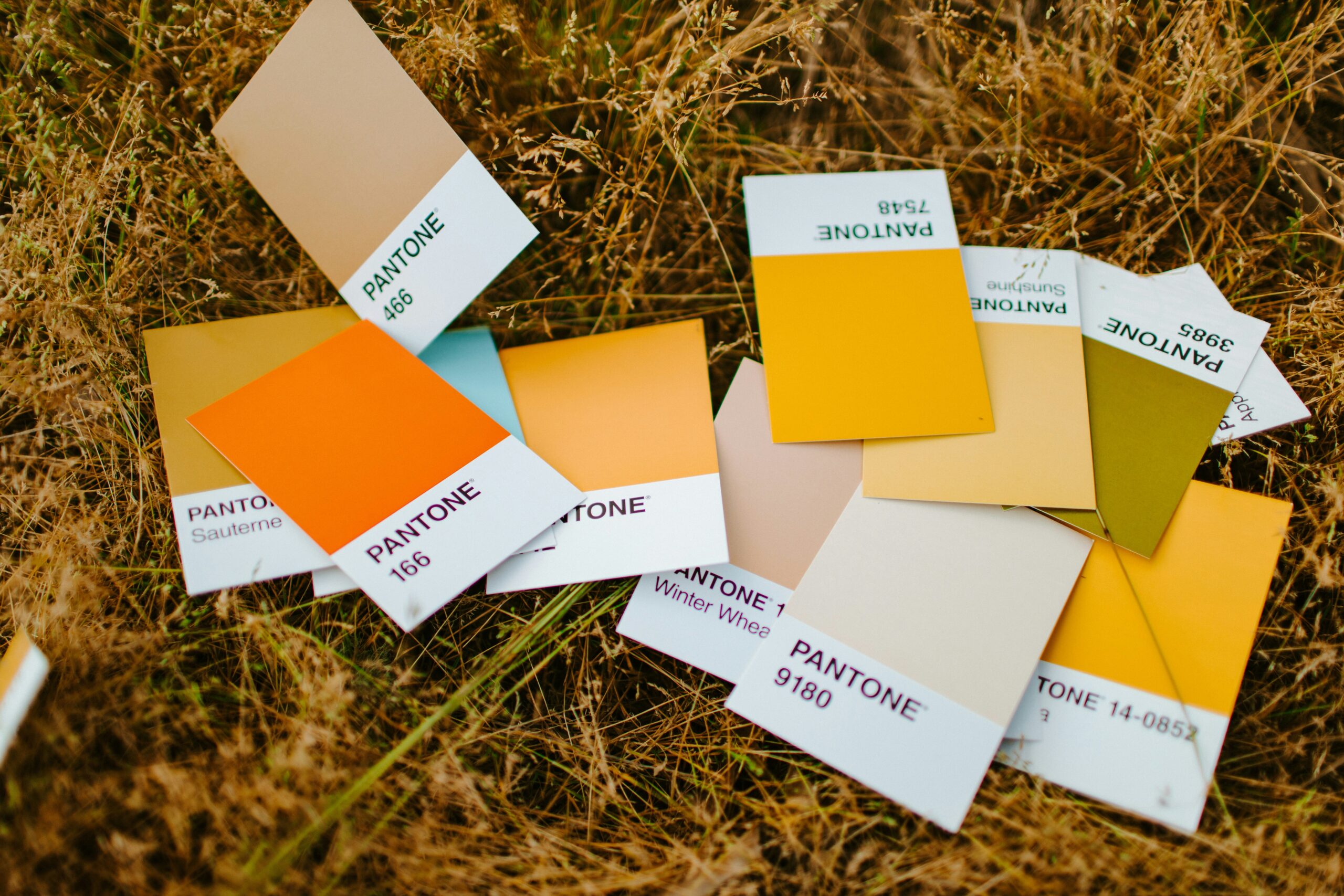 A collection of Pantone color cards are scattered on a patch of grass, signifying different colors a Call-To-Action (CTA) button can be.