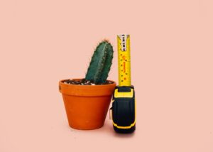 A small cactus in a terracotta pot standing next to a yellow Stanley tape measure, illustrating the concept of measuring business growth.