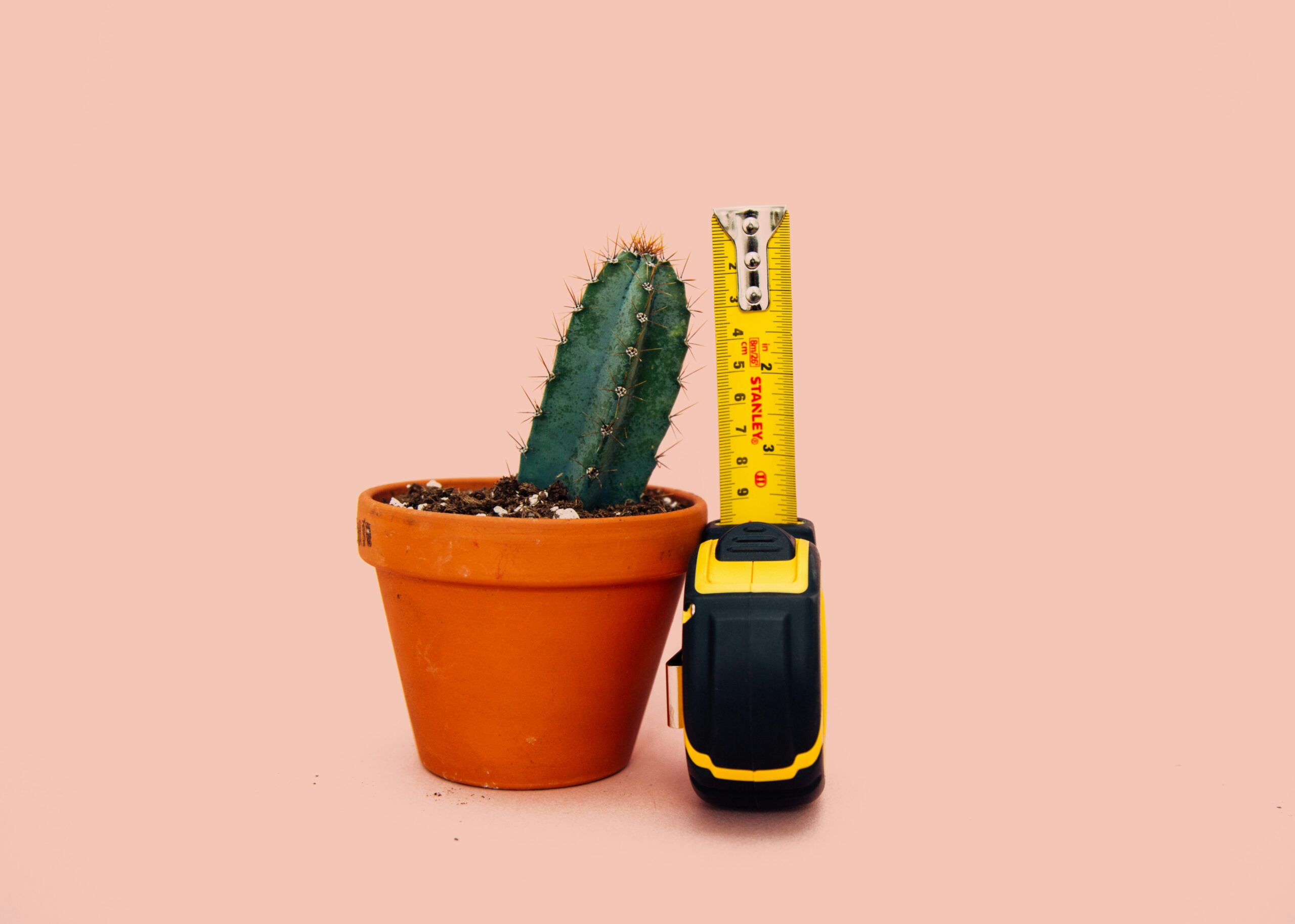 The 3 Things Every Business Needs to Grow