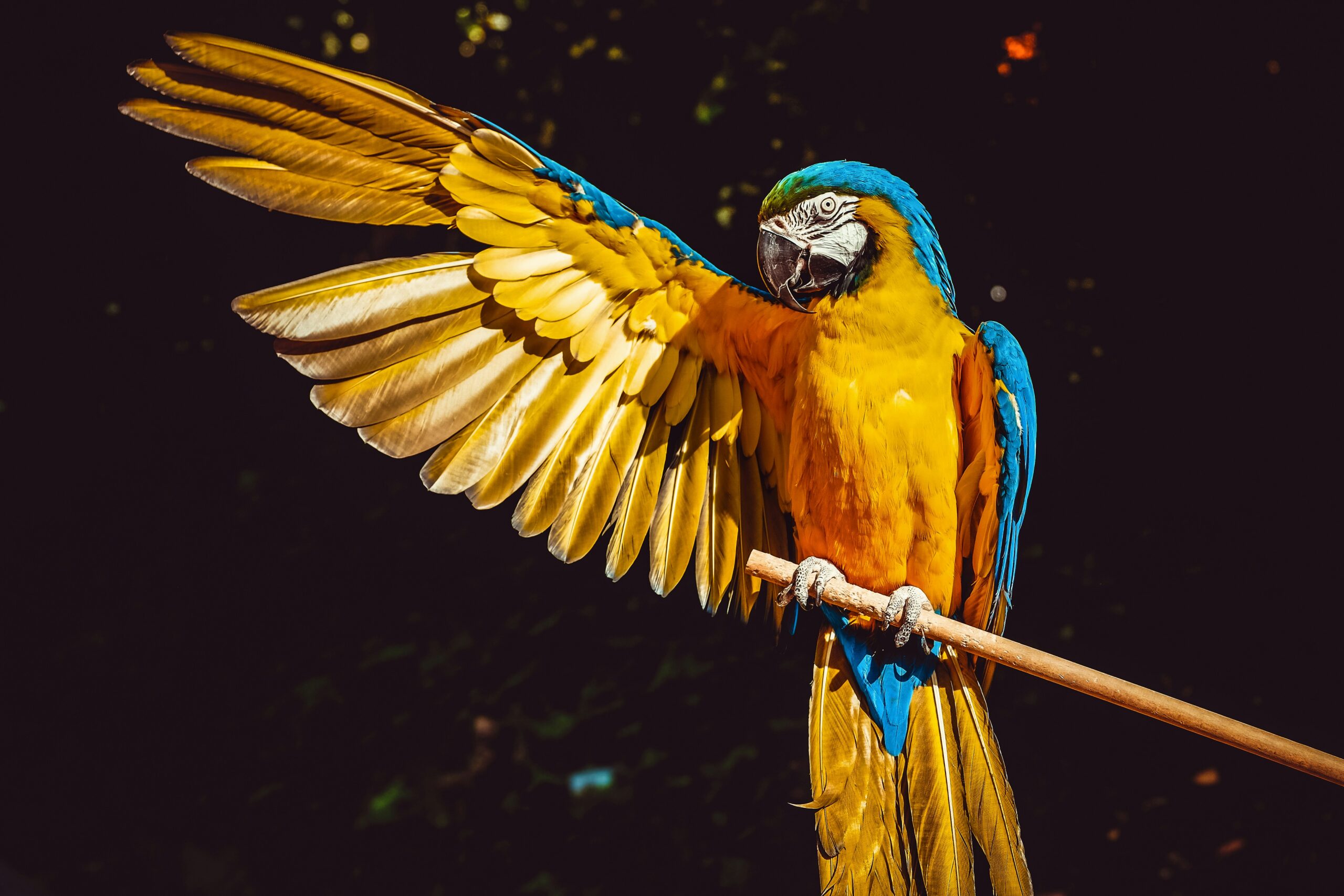 A Practical Guide to AI for Small Business Marketing