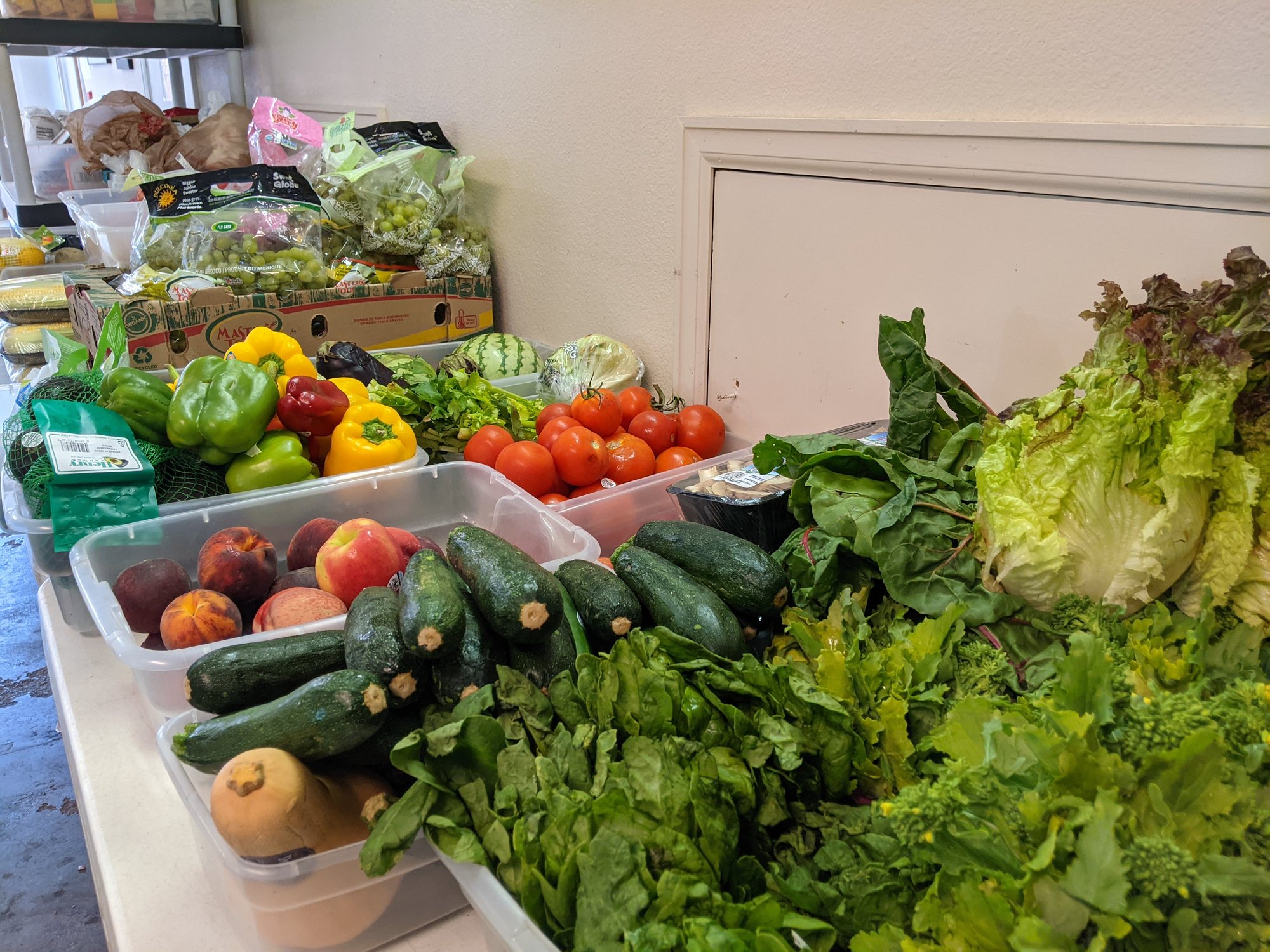 Bins of fresh zucchini, tomatoes, peppers, peaches and leafy greens on a pantry counter