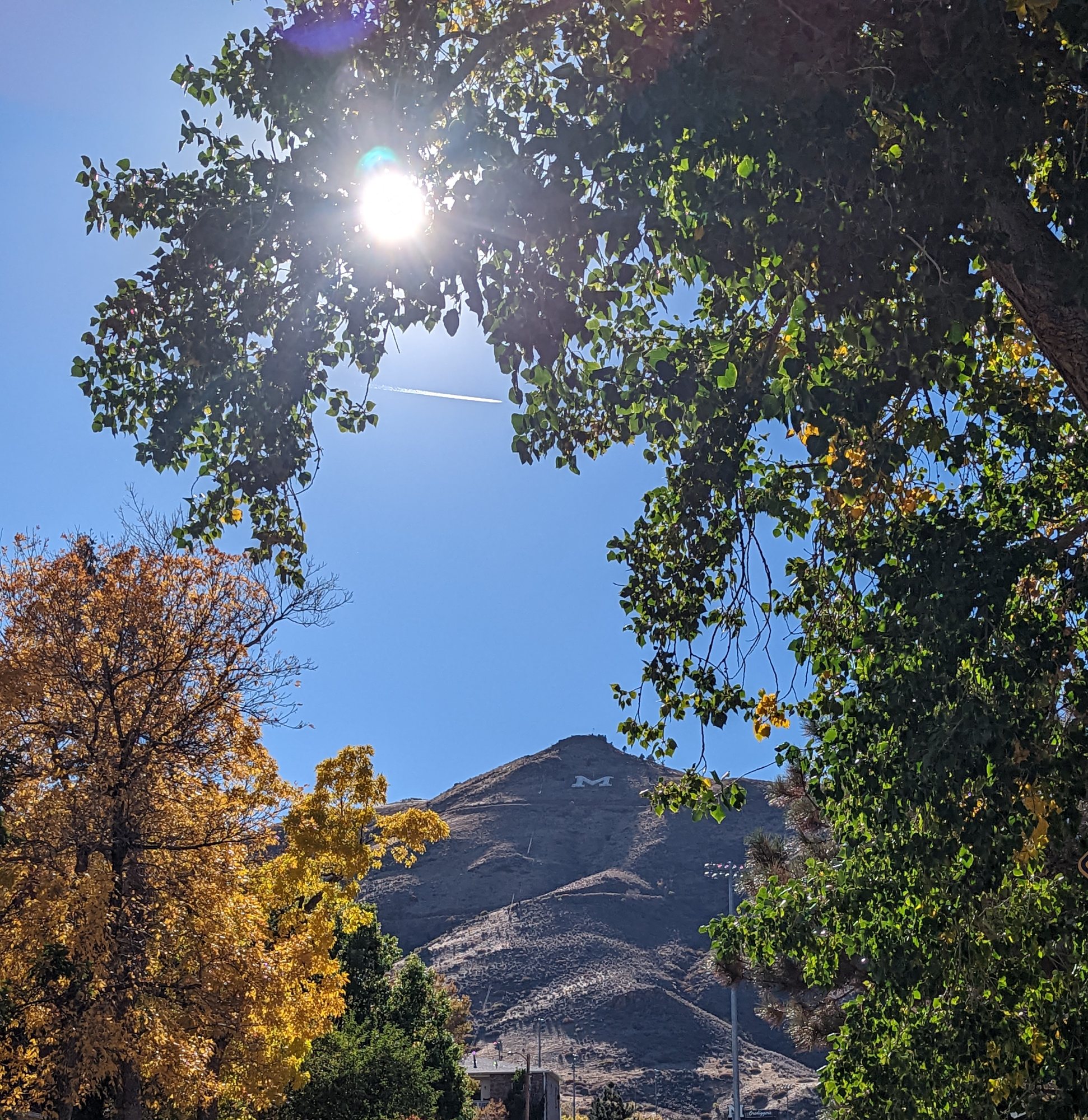 A brown foothill with a large white letter M on its face, framed by green and golden autumn trees under a clear blue sky in Golden, Colorado