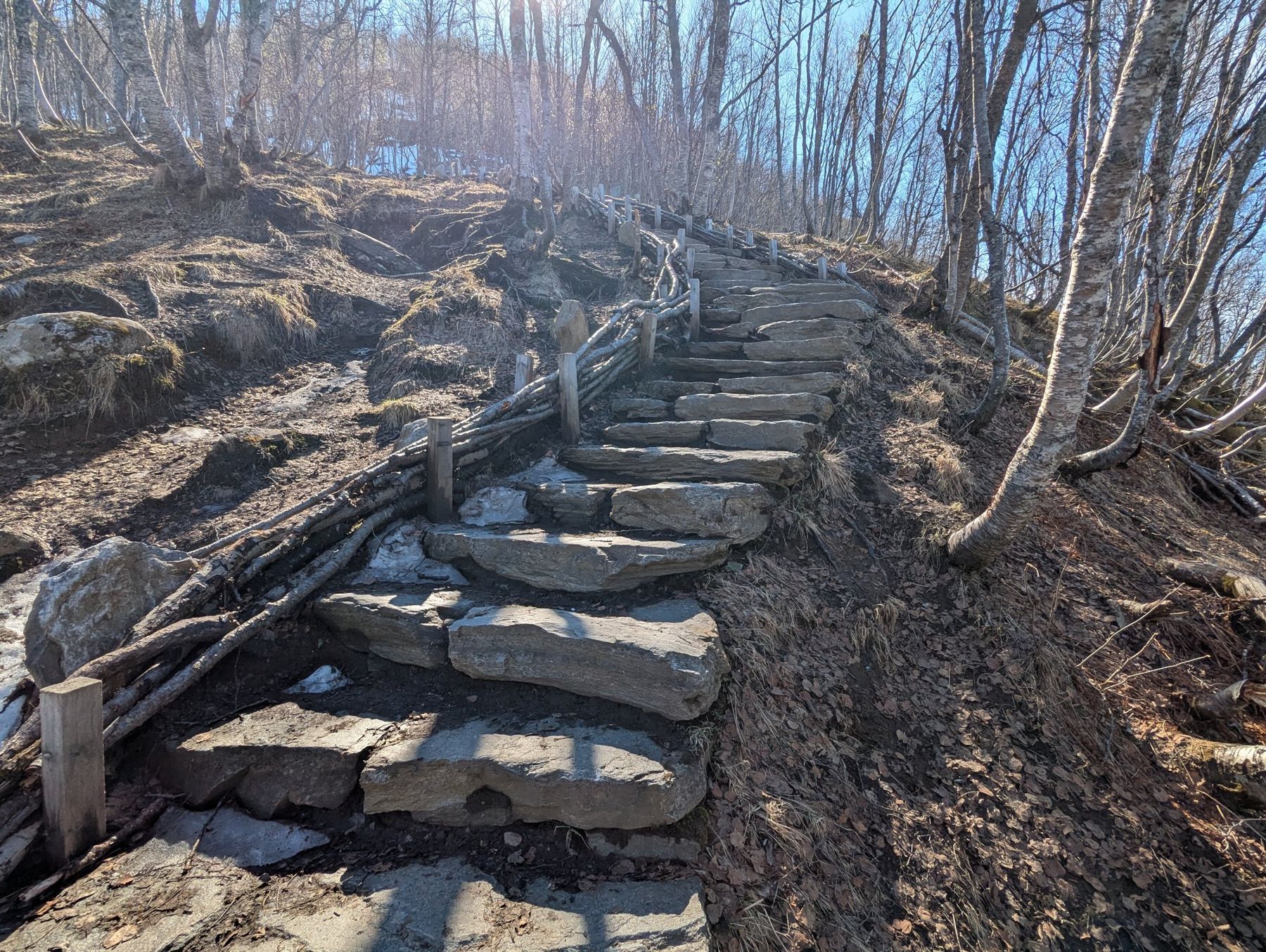 Rough stone steps climbing a hillside through bare birch trees, with a rustic wooden rail along one side, on a sunny spring day